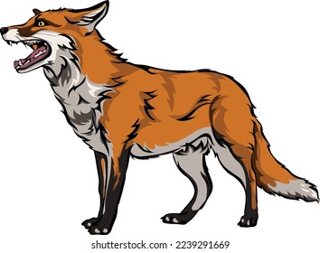 Fox, color. vector image of a fox, vector illustration for use in logos, signs, trademarks, for design and advertising