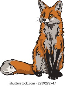 Fox, color. vector image of a fox, vector illustration for use in logos, signs, trademarks, for design and advertising