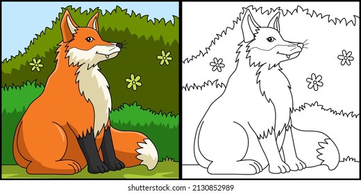 Ilustración coloreada de la página de Fox