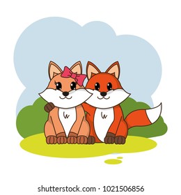 fox couple cute animal in the landscape