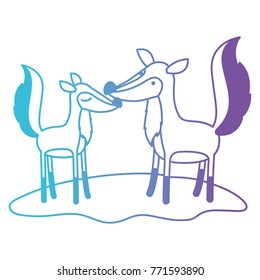fox couple over grass in degraded blue to purple color contour
