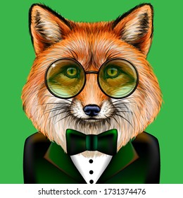Fox. Creative, colorful, hand-drawn portrait Fox with glasses and bow tie dressed in a tuxedo on a green background.