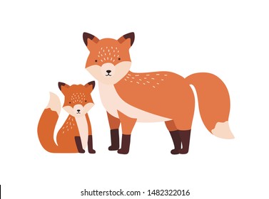 Fox with cub or pup isolated on white background. Family of funny wild carnivorous forest animals. Parent with youngling, mother and baby or offspring. Flat cartoon colorful vector illustration.