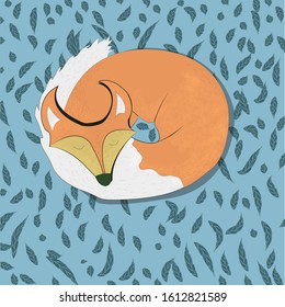 fox curled up in a ball and sleeping