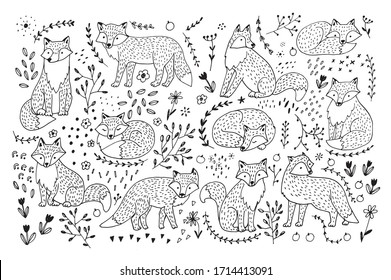 Fox cute animal with flowers vector hand drawn line doodle illustrations set for kids