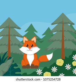 Fox cute animals cartoons