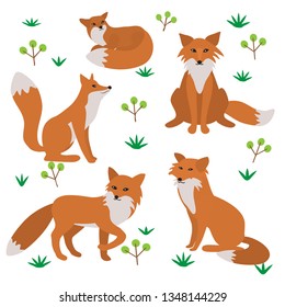 Fox in different poses. Children's drawing. Red foxes on a white background.

