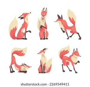 Fox in different poses set. Red and white wild forest animal cartoon vector illustration