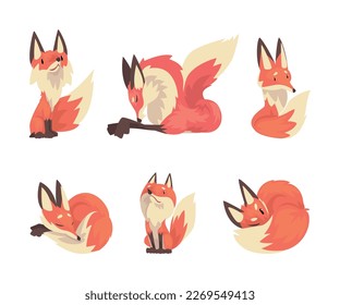 Fox en diferentes poses. Dibujo vectorial de dibujos animados de animales salvajes esponjosos y rojos