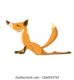 Fox does yoga. Ashwa Sanchalanasana. Vector color illustration.