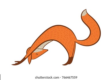 Fox doing yoga