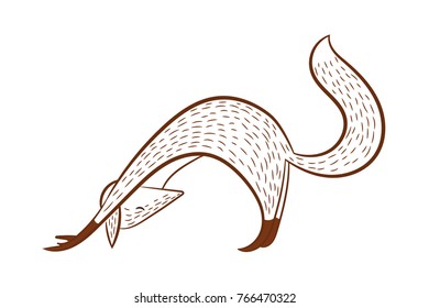 fox doing yoga