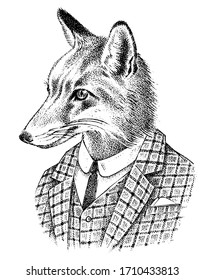 Fox Dressed Up In Suit. Aristocrat Or Old Gentleman. Fashion Animal Character Sketch. Hand Drawn Anthropomorphism. Vector Engraved Illustration For Label, Logo And T-shirts Or Tattoo.