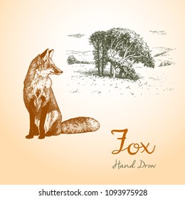 Fox engraved illustration. Vector