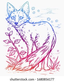 Fox engraved. Vector illustration isolated on white background.