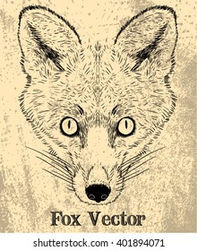 Fox Face illustration Vector
