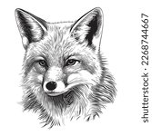 Fox face sketch hand drawn in doodle style illustration