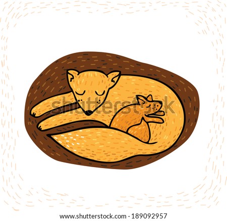 Fox family sleeping
