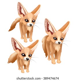 Fox Fenech. Animals isolated on a white background. Vector illustration.