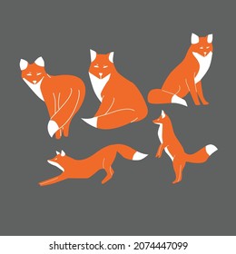 fox flat illustration and drawing