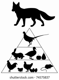 Fox food guide pyramid
