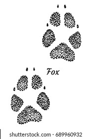 Fox footprint illustration, drawing, engraving, ink, line art, vector