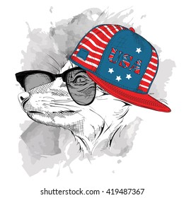 Fox in the glasses, headphones and hip-hop hat with print of USA. Vector illustration.