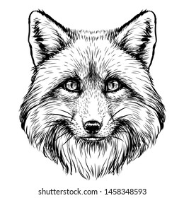 
Fox  Graphic 