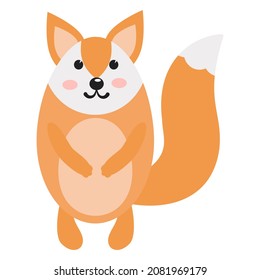 fox , hand-drawn forest animal. cartoon cat vector illustration
