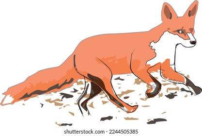 Fox happily playing and running around