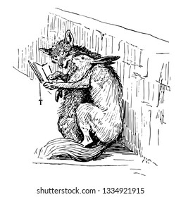 The fox and the hare sitting near wall and reading book, vintage line drawing or engraving illustration