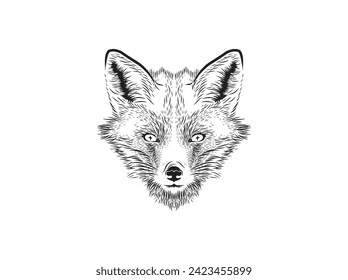 fox head hand drawn vector illustrations