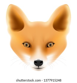 Fox head isolated on white background. Wild animal collection. Vector illustration