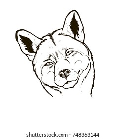 fox head, fox portrait close-up, black and white graphic vector illustration
