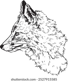 Fox head sideview - hand drawn realistic vector animal illustration