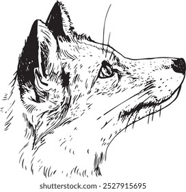 Fox head sideview - hand drawn realistic vector animal illustration