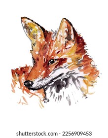 Fox head sketch art vector. Wildlife wild animal isolated.