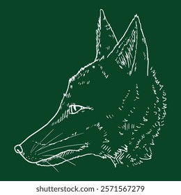 Fox Head. Vector Chalk Sketch Illustration of Side View Vixen Face