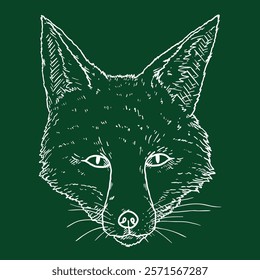 Fox Head. Vector Chalk Sketch Illustration of Front View Vixen Face