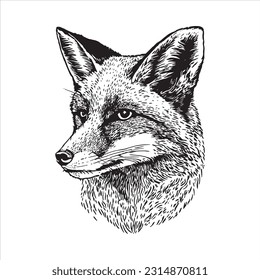 Fox head vector illustration, engrave isolated