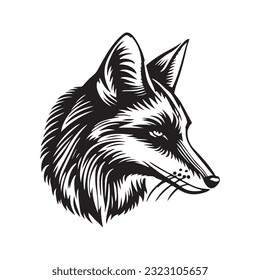 Fox head vector illustration on a white background. Vintage fox illustration