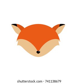 fox head wild cute animal