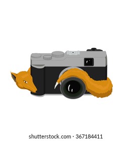fox is hiding behind the camera/Fox with camera