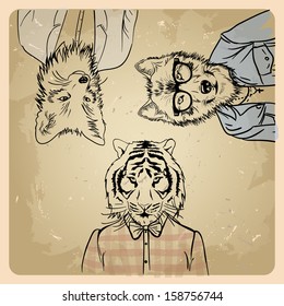 fox hipster in a jacket wolf hipster in a jacket  Tiger hipster in a shirt on a vintage background 