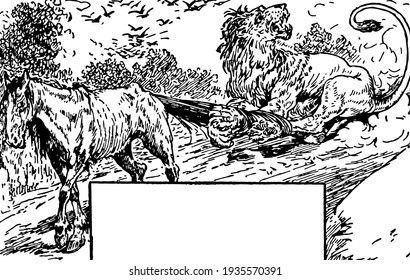 Fox y Horse en este diseño de borde, dibujo de línea vintage o ilustración de grabado.