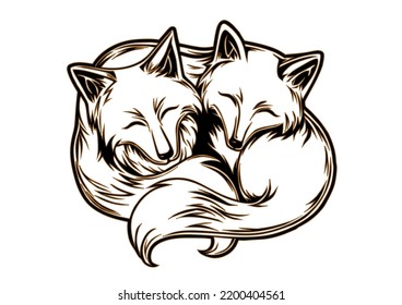 Fox Hug, Isolated on white