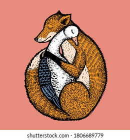 Fox hugging a goose. Color vector illustration