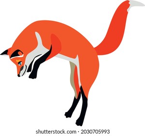 The fox is hunting. Vector illustration