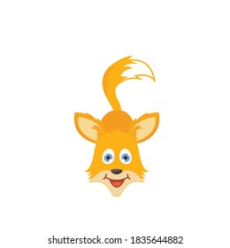 fox  icon vector illustration design template