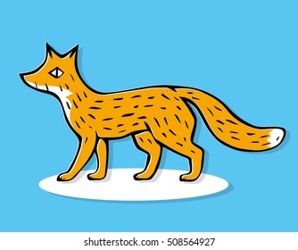 Fox illustration.